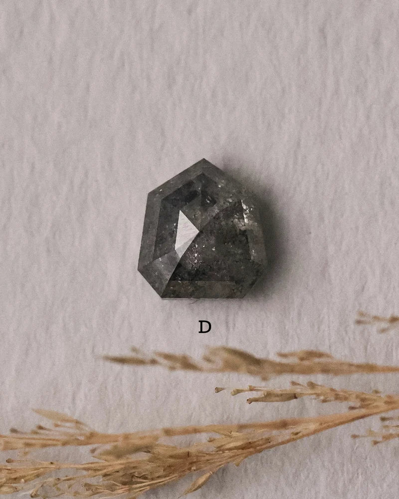Salt and pepper rose-cut diamond photographed with dried botanical detail