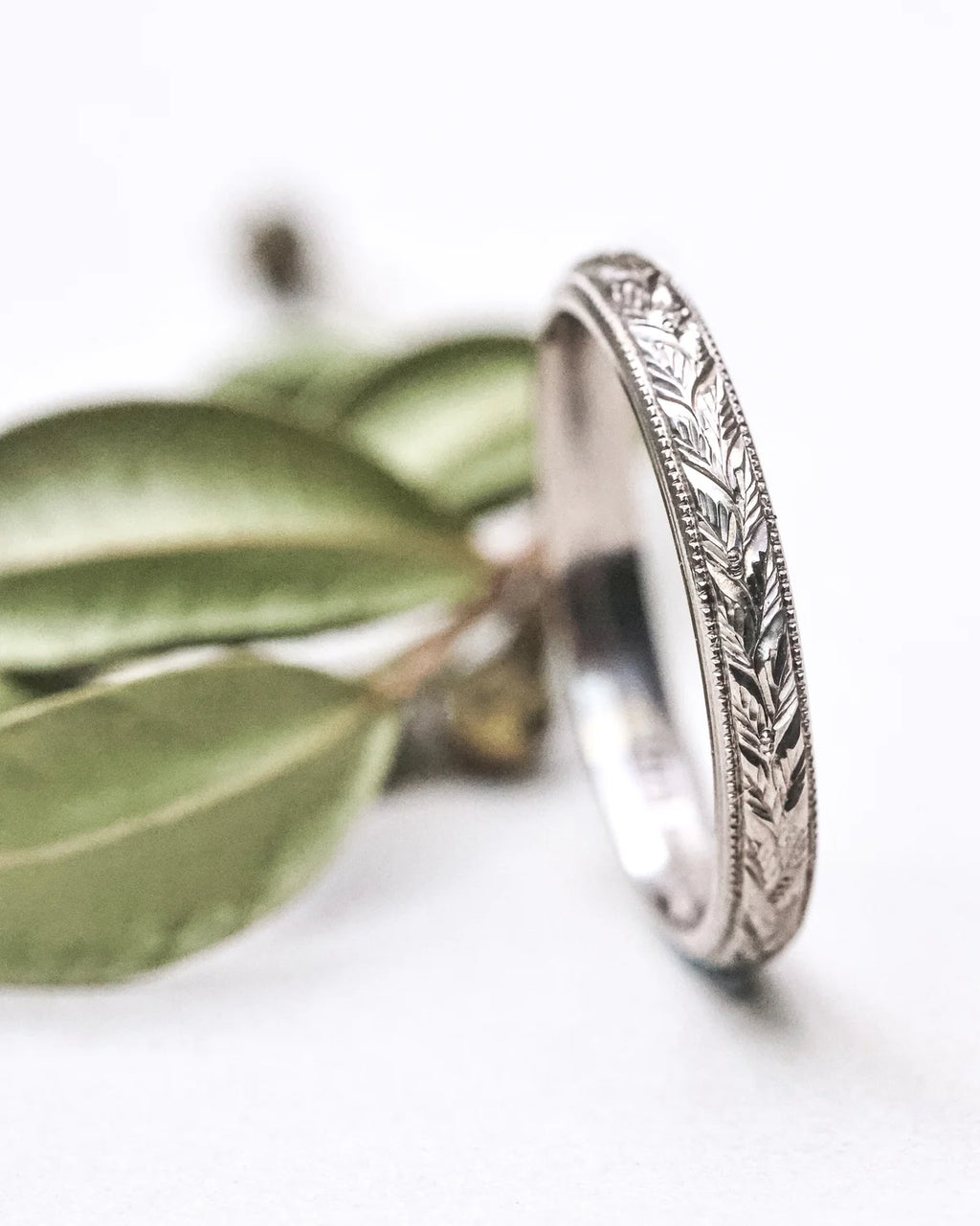 engraved laurel texture on white gold wedding band