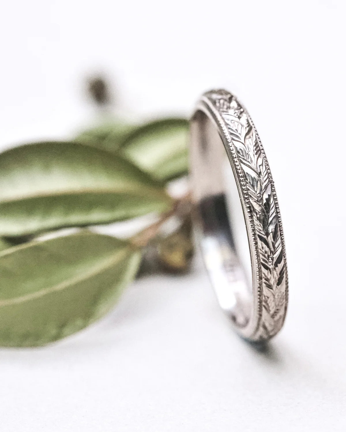 engraved laurel texture on white gold wedding band