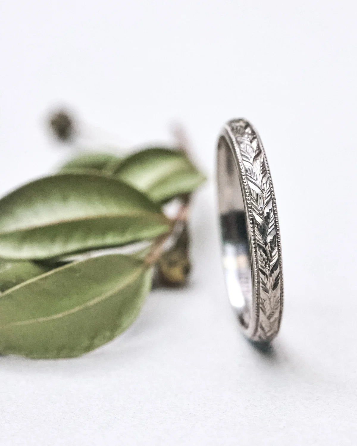 Silver ring with intricate design on a white surface with green leaves.