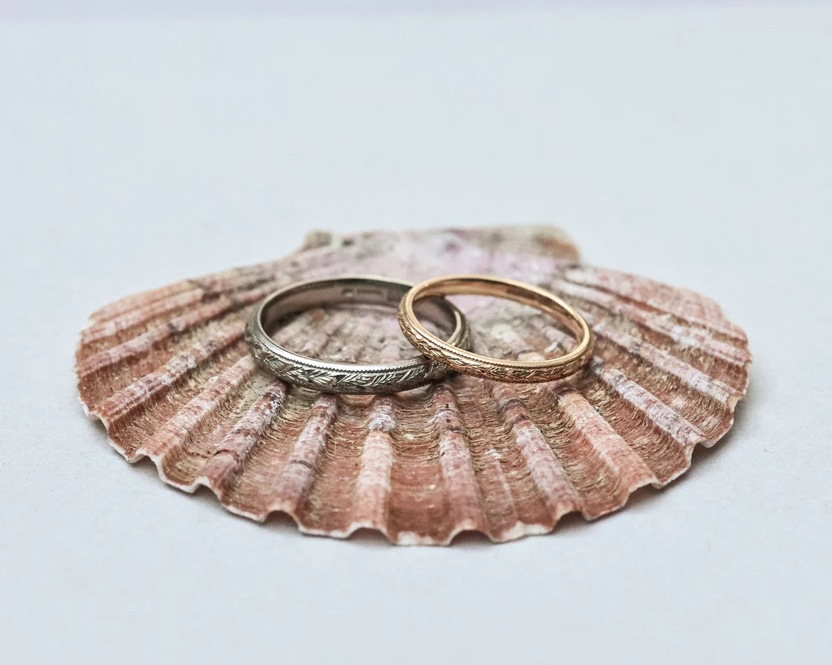 Two rings on a seashell against a light background