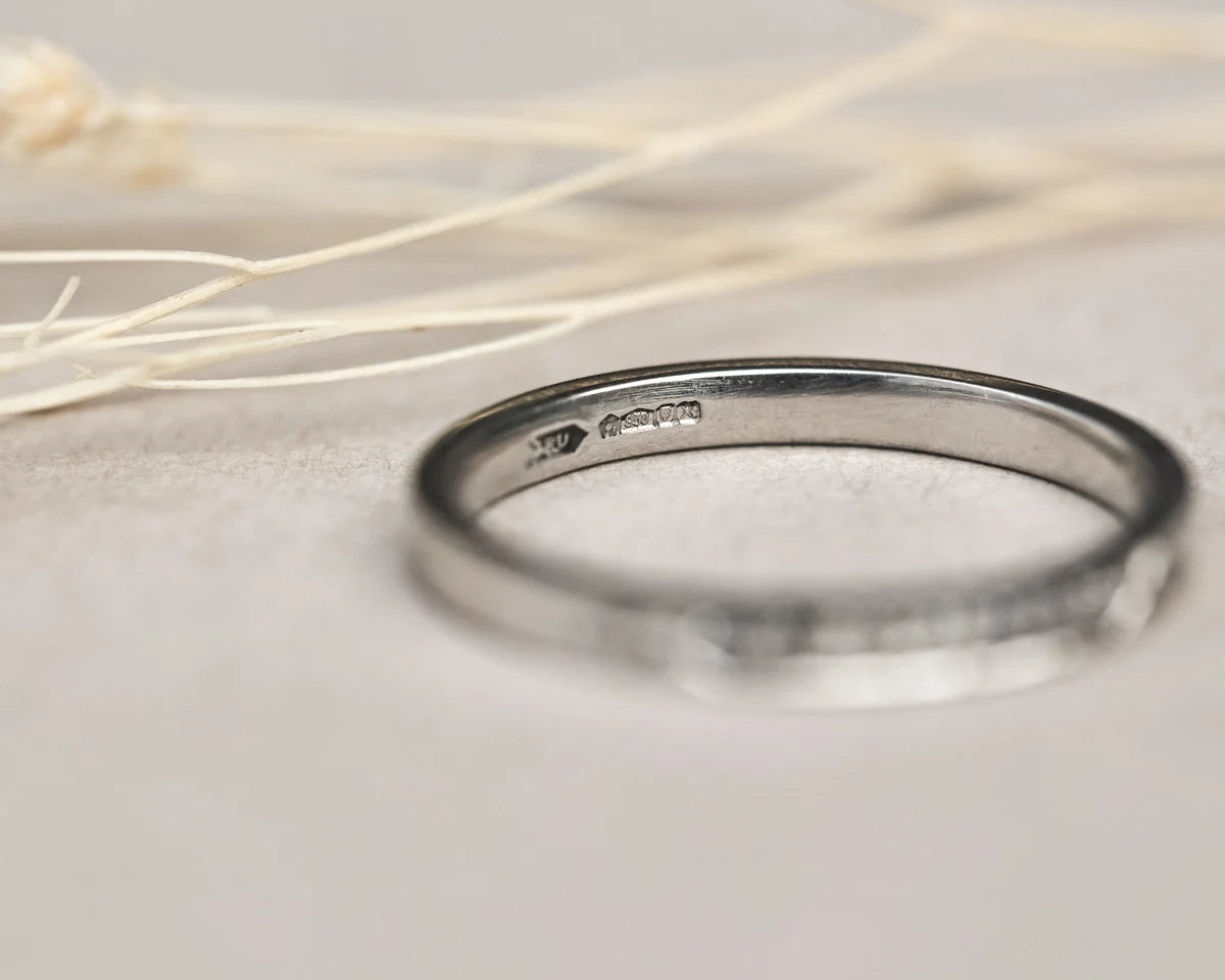 Silver ring on a light gray background with dried grasses