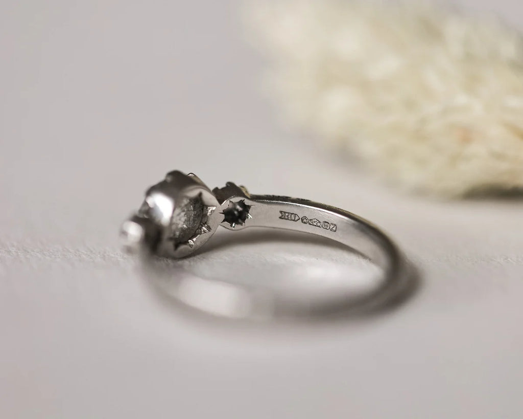 Back view of platinum trilogy ring with horn texture band