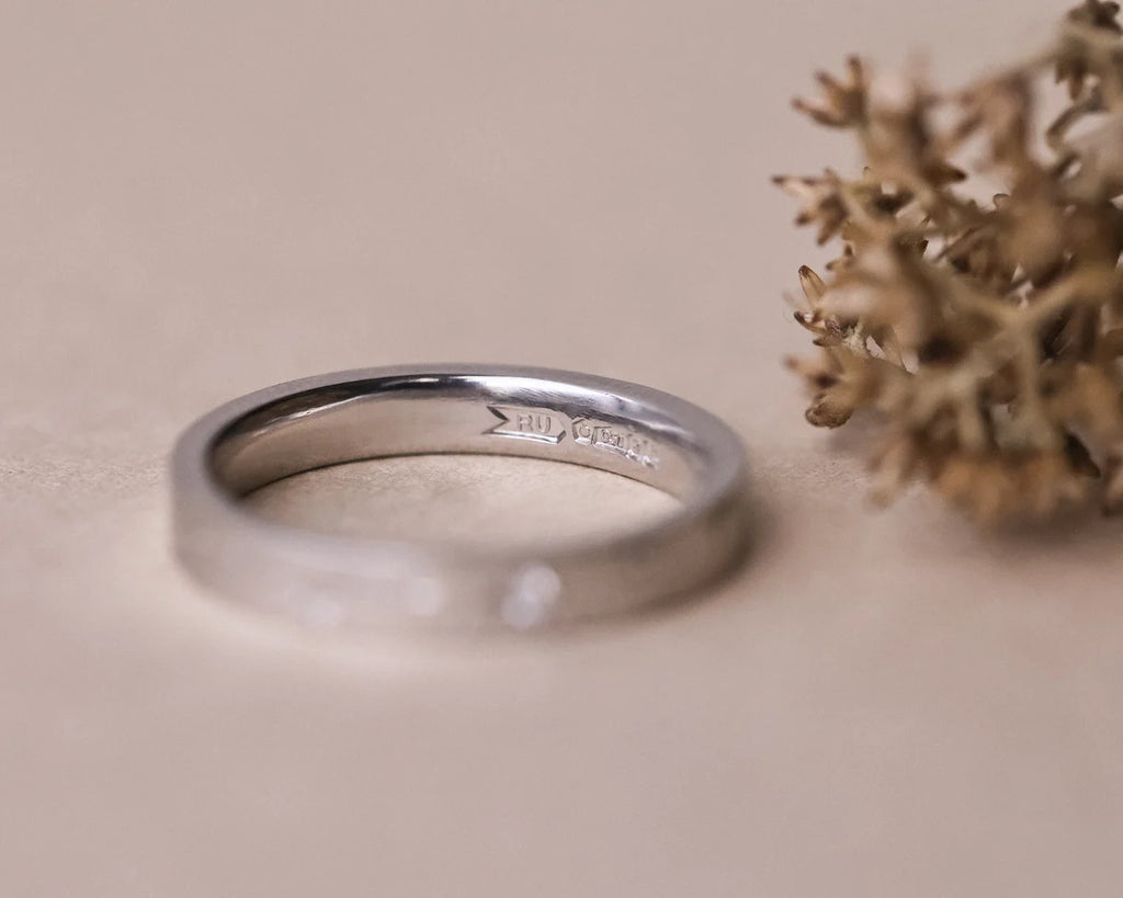 Back view of platinum flat court eternity ring with smooth int