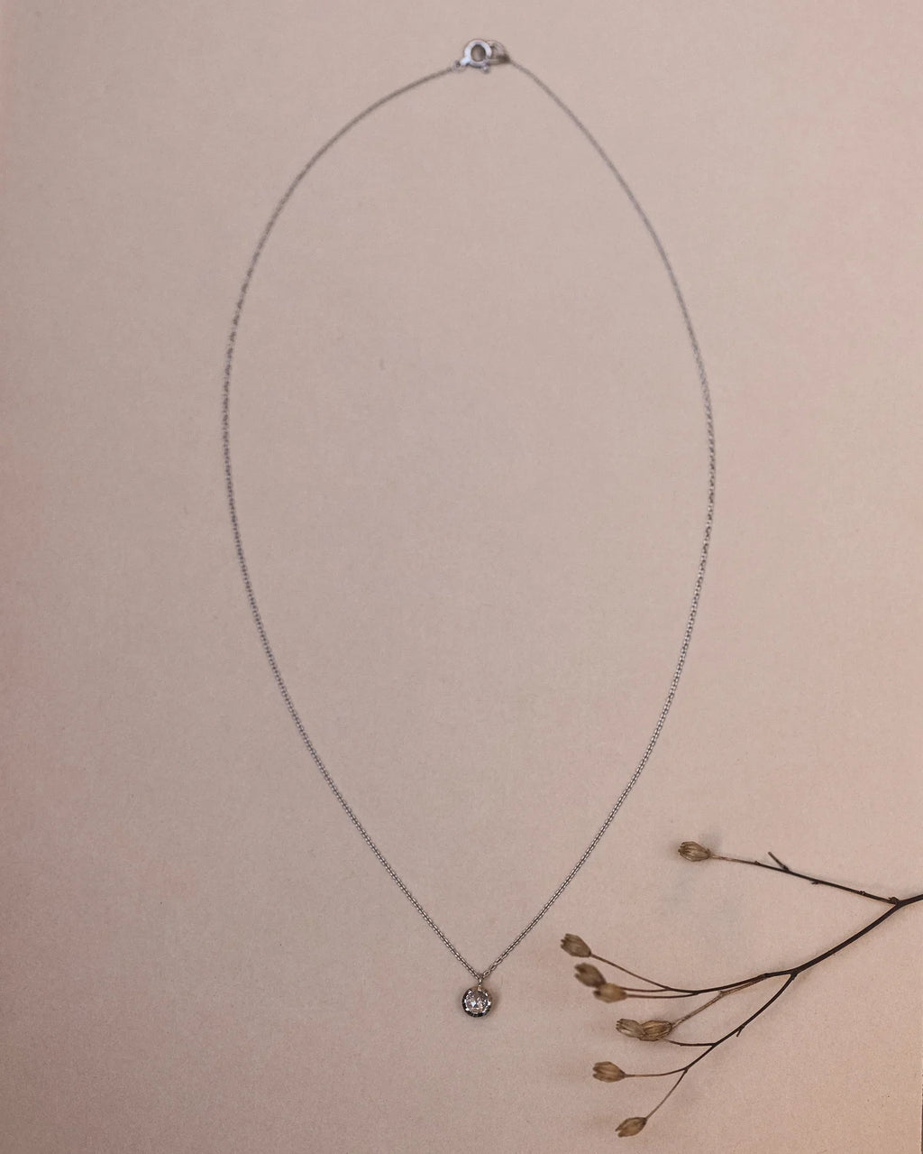 Necklace with a small pendant on a beige background