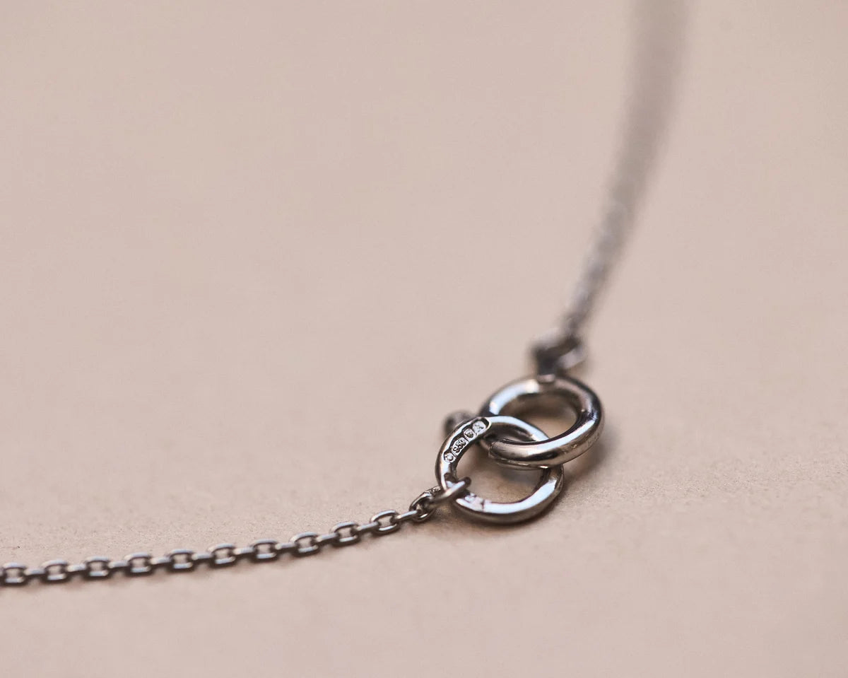 Close-up of a silver necklace with interlocking rings on a beige background