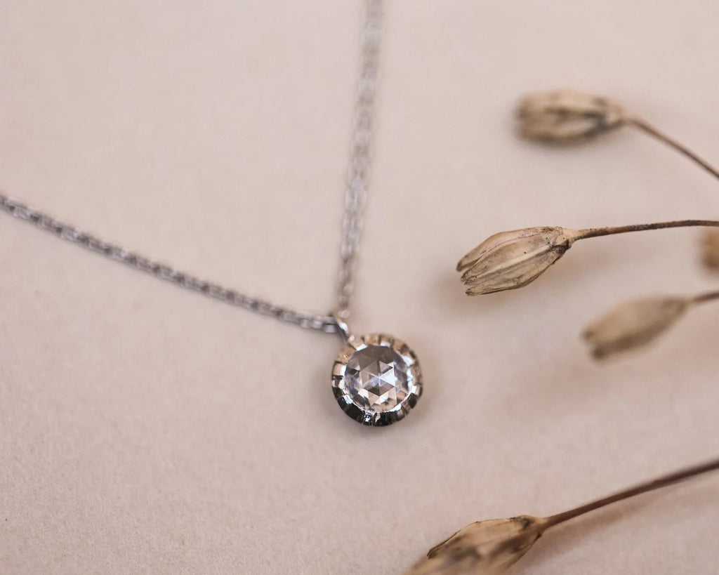 Silver necklace with a diamond pendant on a beige background with dried flowers.