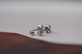 platinum diamond stud earrings rose cut 3mm minimalist studs