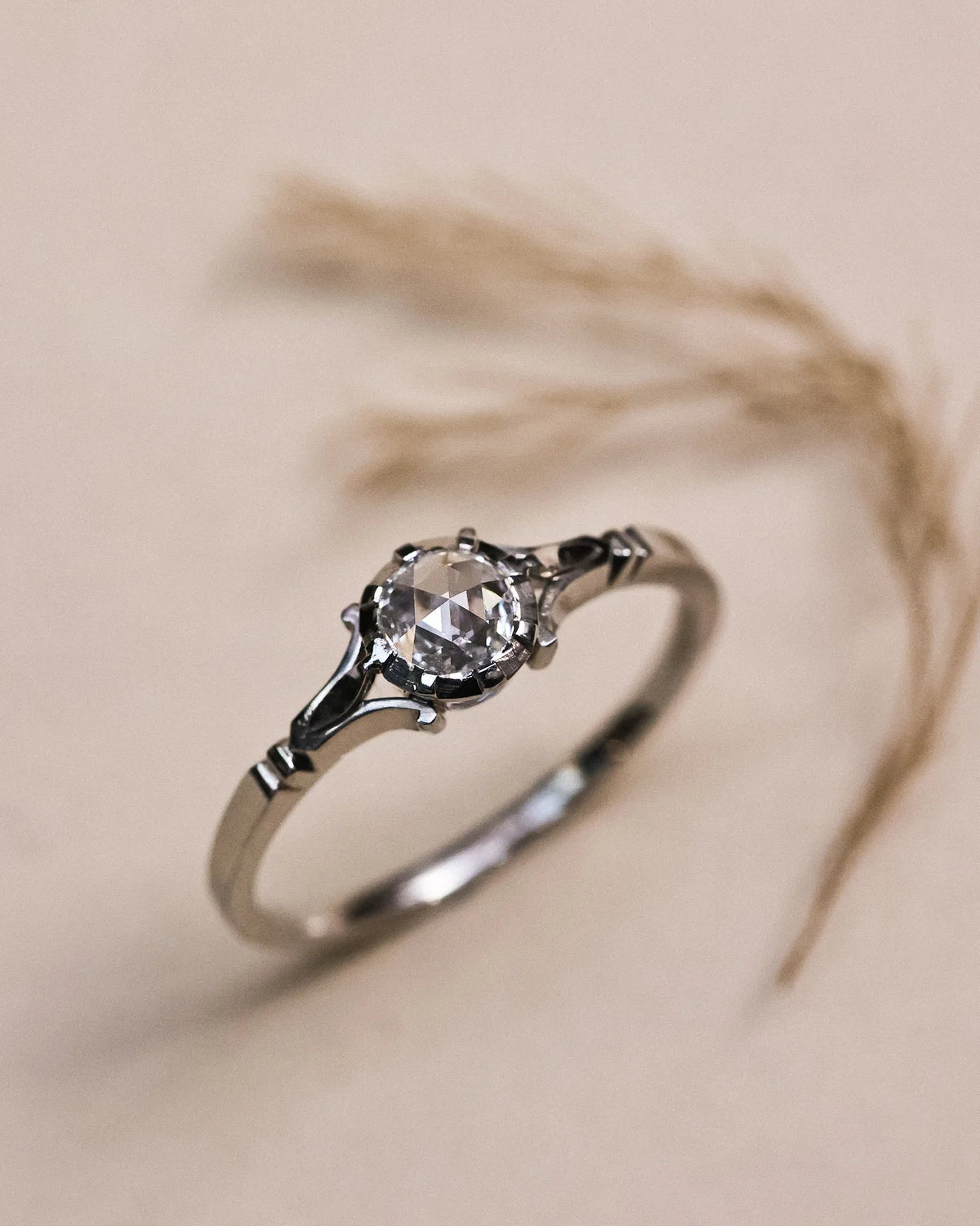 A silver-toned ring with a clear faceted gemstone in a prong setting, photographed on a warm beige background with soft dried grass behind it.