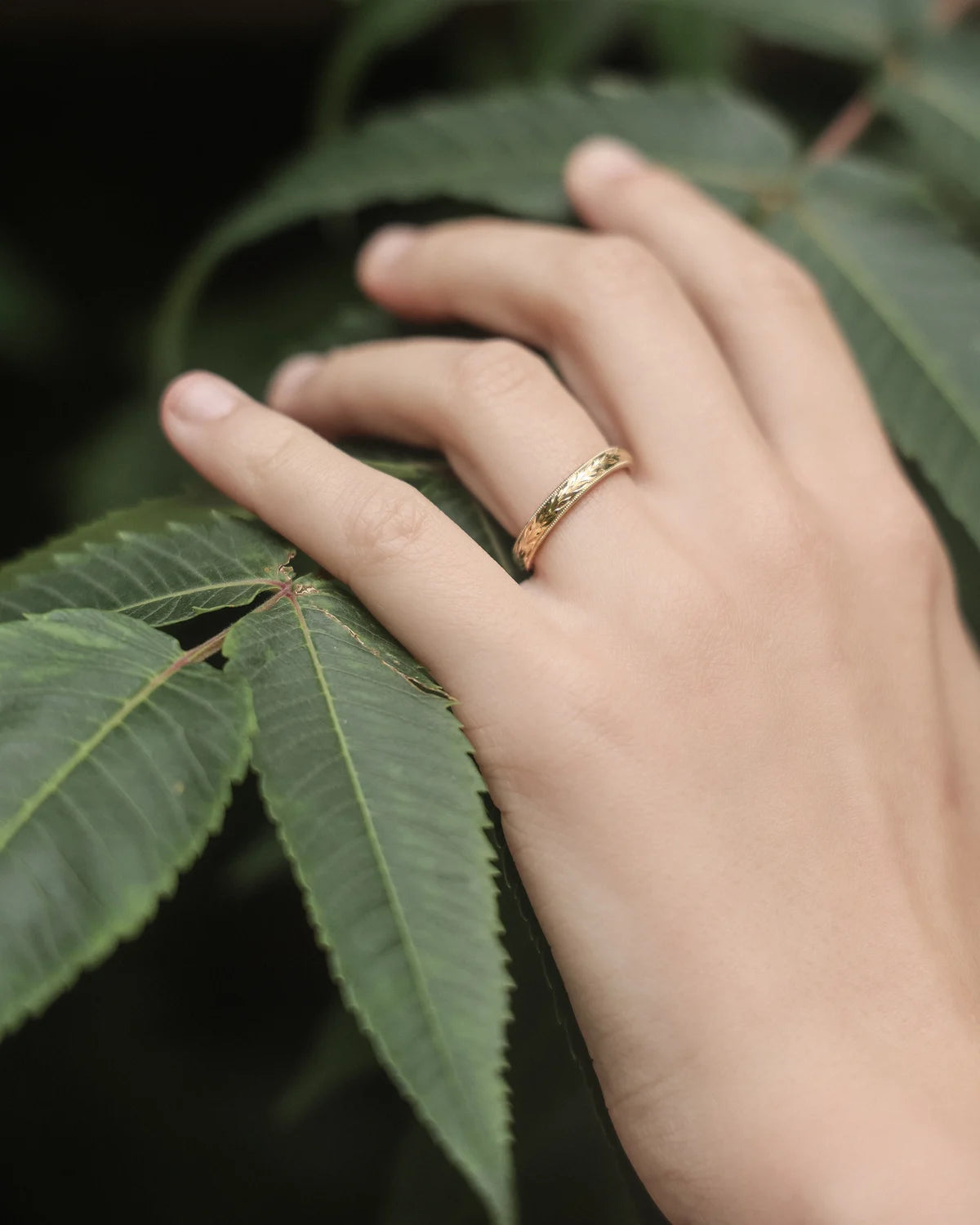 gold wedding ring worn on hand olive leaf engraved band 2.5mm