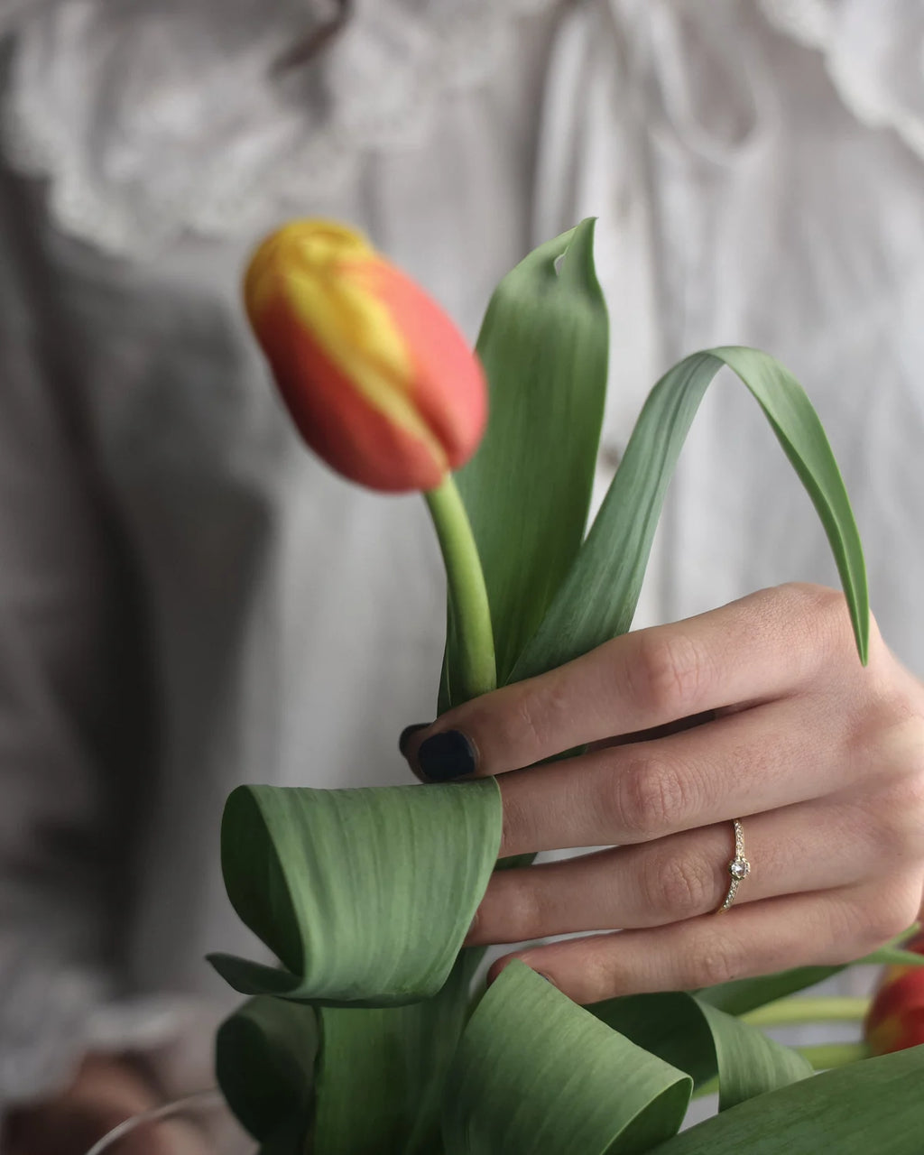 A close-up of a hand holding a tulip with a red and yellow gradient bloom and green leaves, with a person in a white ruffled blouse blurred in the background.