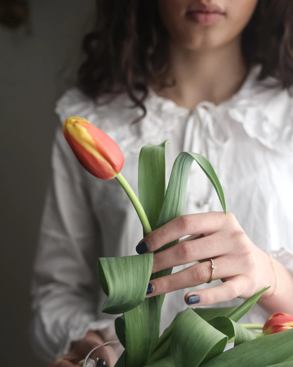 A close-up lifestyle shot of a person holding a vibrant red and yellow tulip with green leaves. The person is wearing a white ruffled blouse and a gold ring, with dark gray nail polish on their hand.
