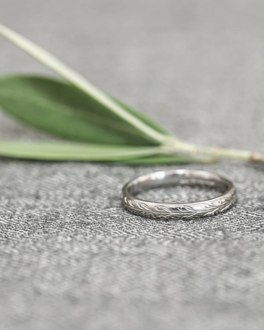 Silver ring on a textured surface with a blurred green leaf in the background