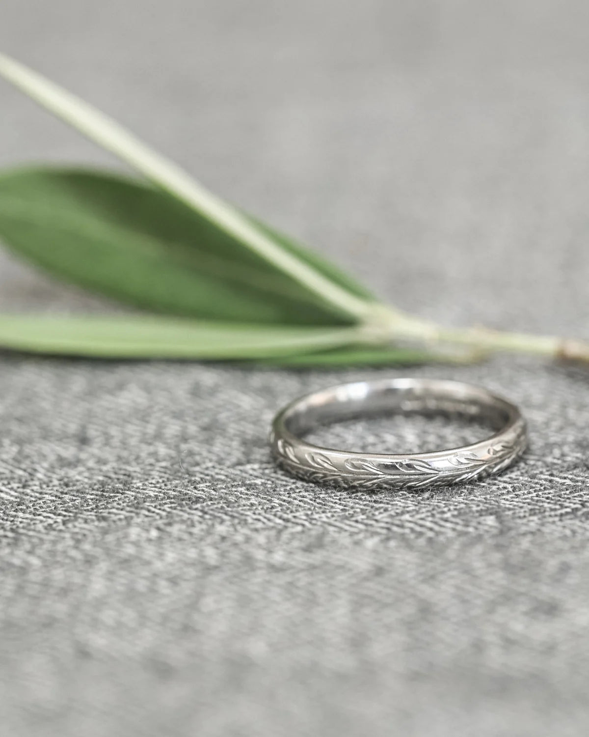 Silver ring on a textured surface with a blurred green leaf in the background