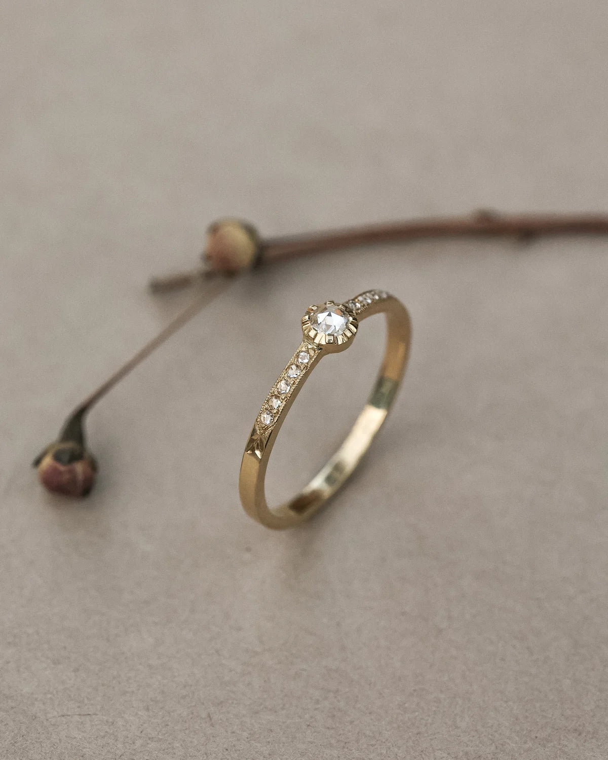 A delicate yellow gold ring with a round-cut clear center stone and small pavé-set clear stones along the band, resting on a textured beige surface next to dried flower buds.
