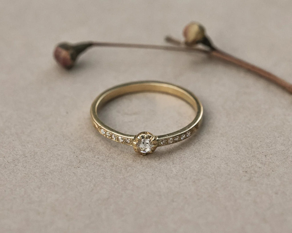 A delicate yellow gold ring with a single round-cut clear center stone and small pavé-set clear stones along the band, resting on a textured beige surface with dried flower buds in the background.