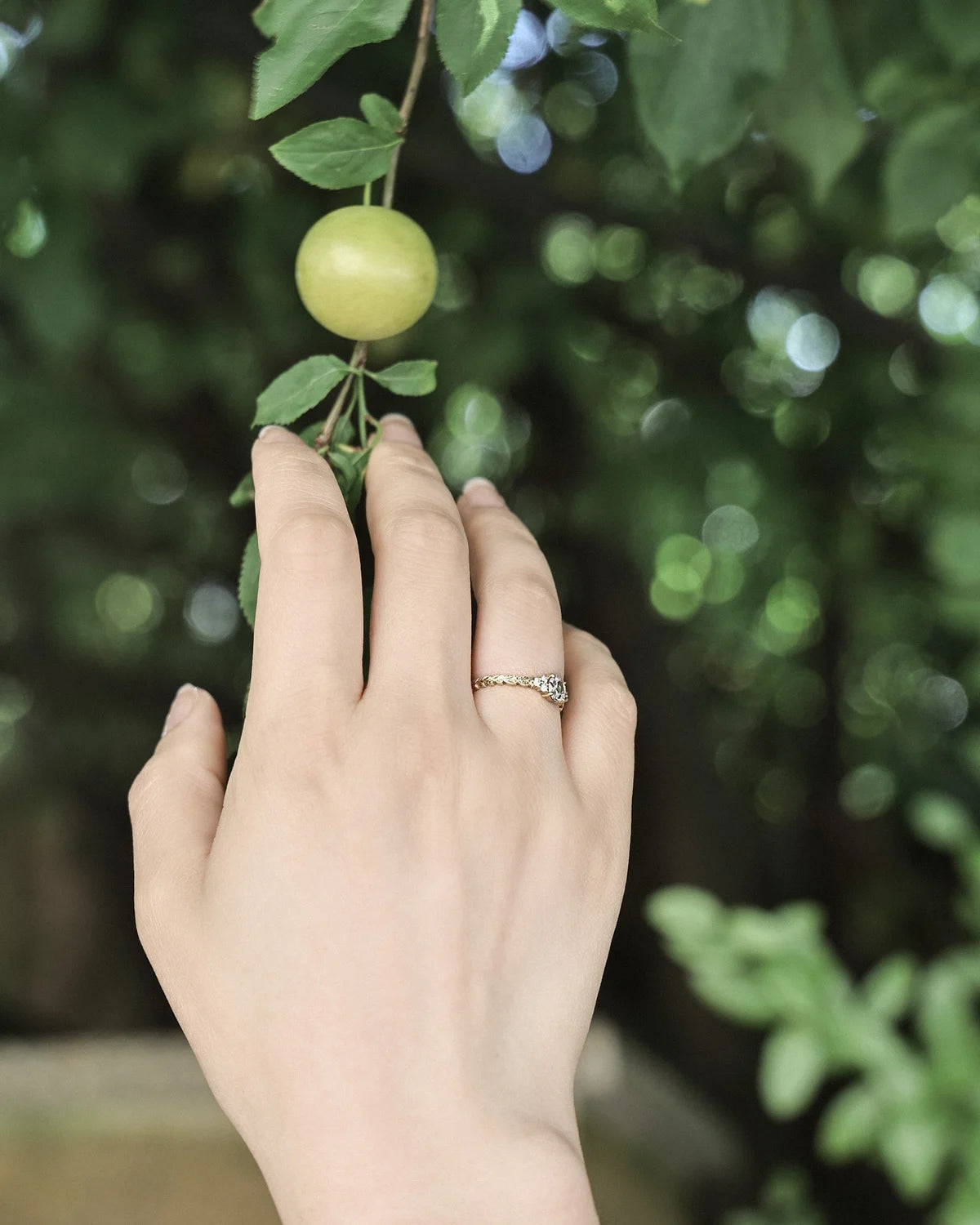 Laurel leaf diamond ring worn on hand with green fruit tree