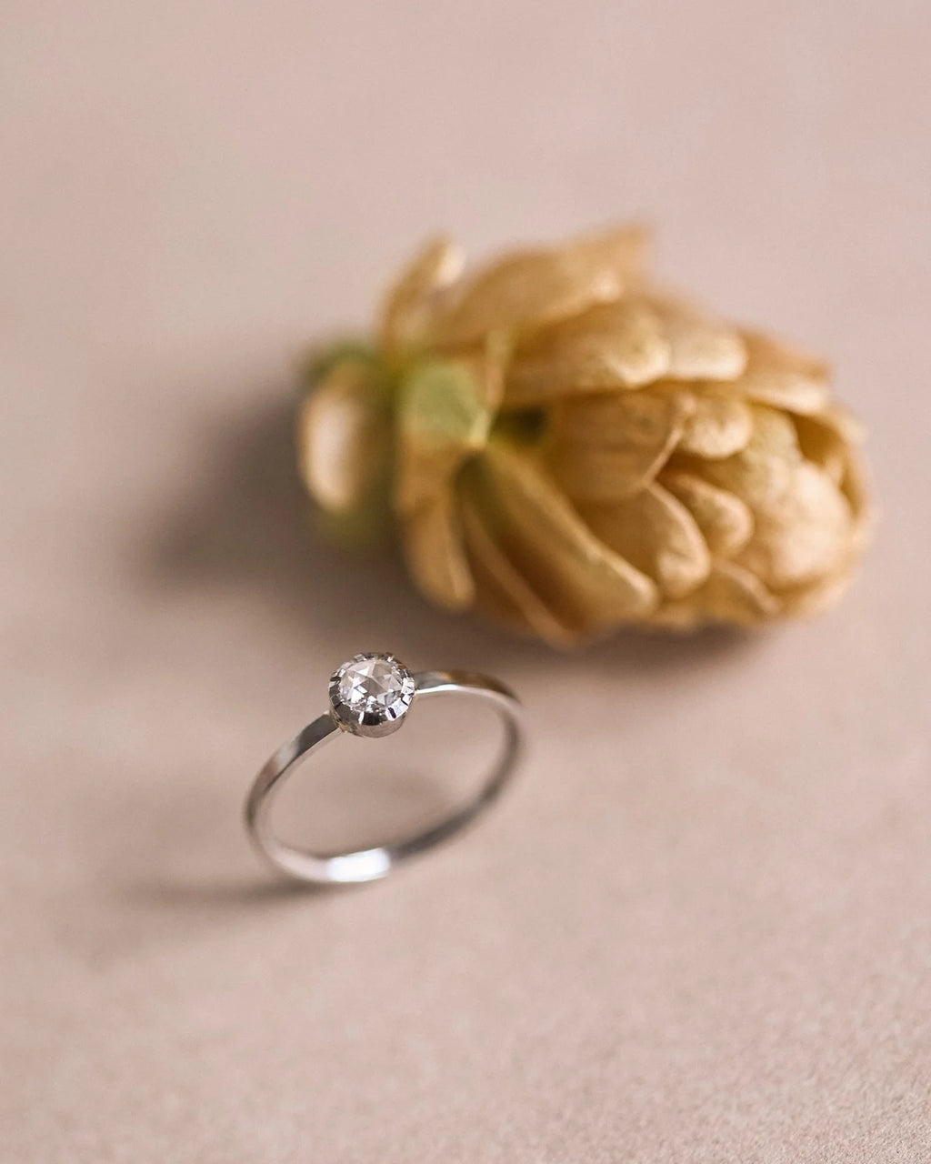 Editorial image of platinum rose-cut diamond ring with dried flower