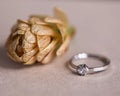 4mm rose-cut diamond ring in platinum with traditional cut-down setting