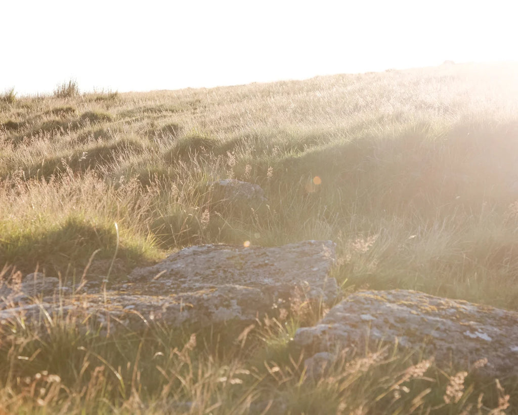 Soft landscape detail used for natural jewellery styling